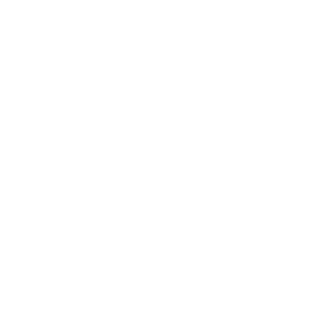FLorida Elder Law Attorney